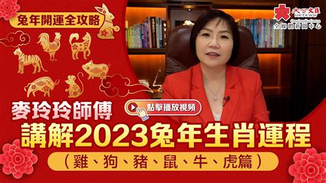 2023年屬虎|麥玲玲2023年生肖虎運程預測 水木相生穩定發展